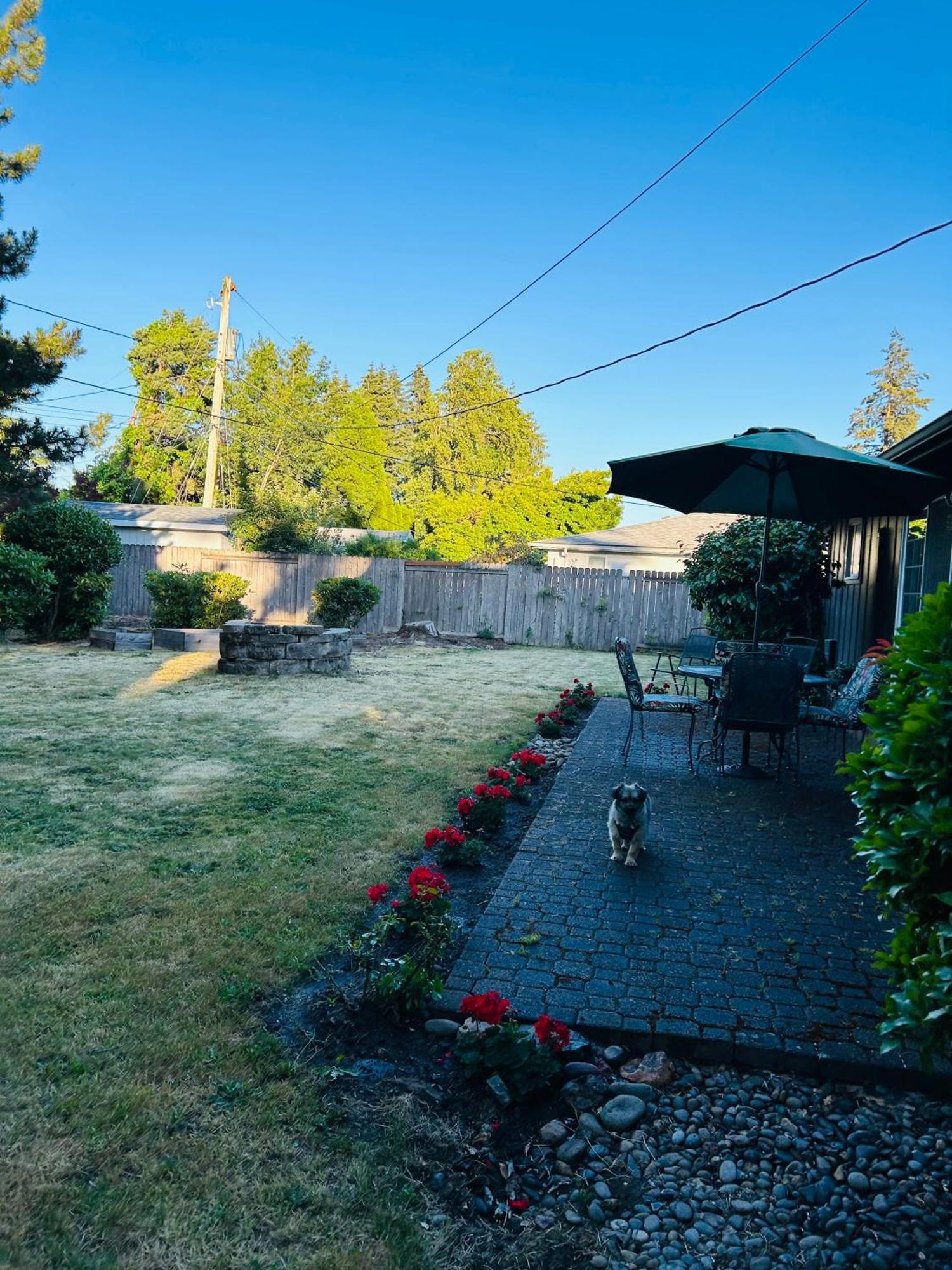 Emerald City 3 Bedroom 1 Bath Home Eugene Extérieur photo