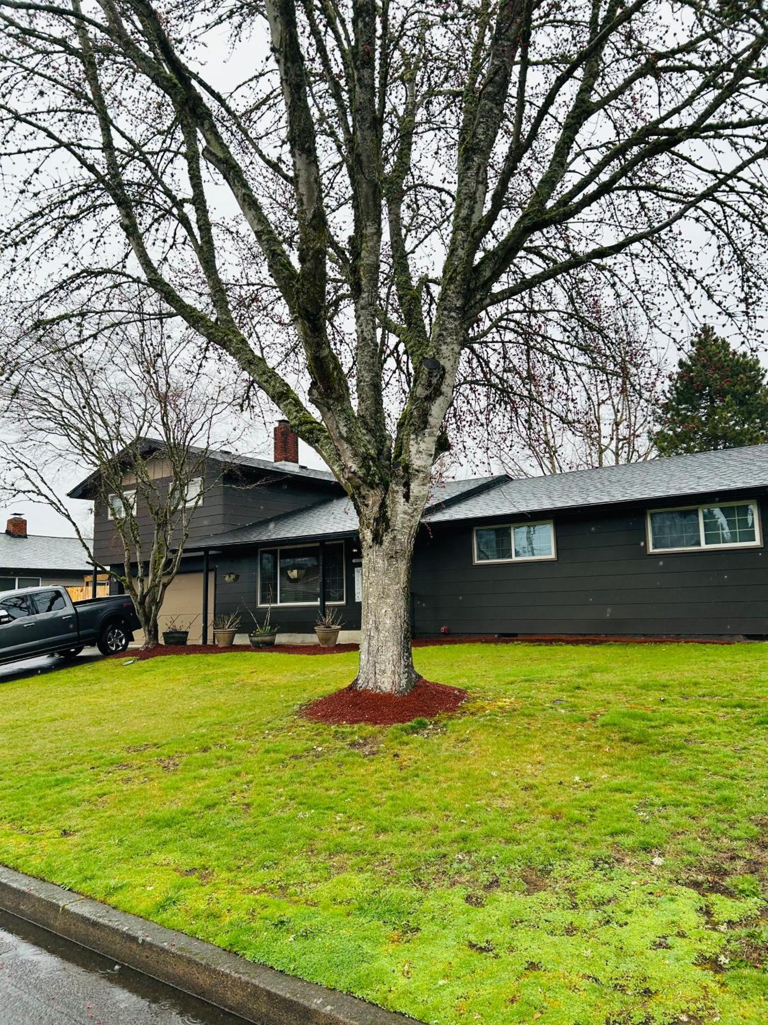 Emerald City 3 Bedroom 1 Bath Home Eugene Extérieur photo